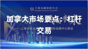 加拿大市场要点：杠杆交易